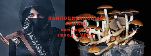 винт Няндома