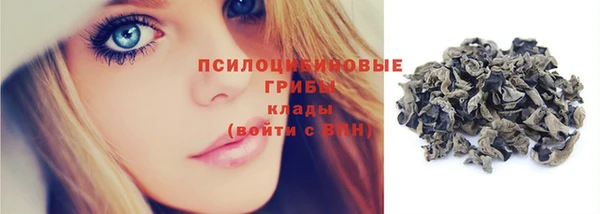 винт Няндома