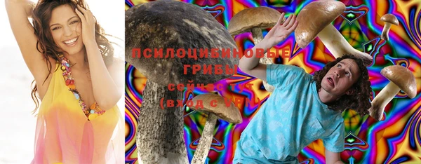 винт Няндома