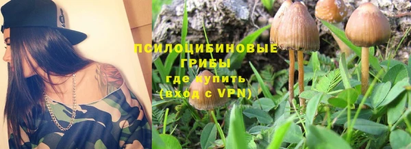 винт Няндома
