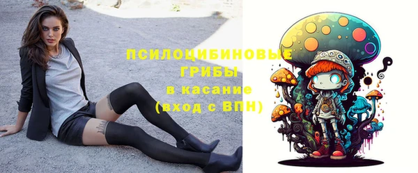 соль курить ск Нязепетровск