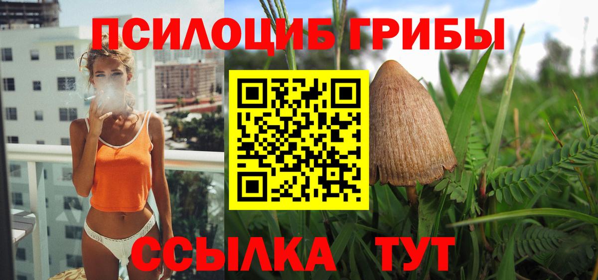 Псилоцибиновые грибы мицелий  Псилоцибиновые грибы ЛСД  продажа наркотиков  Назрань 