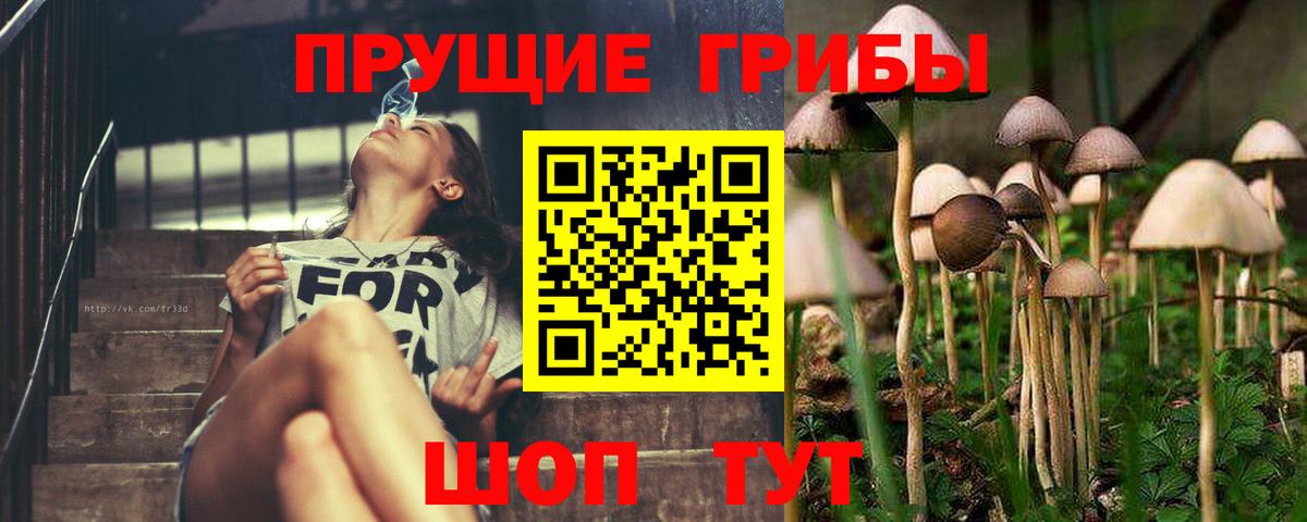 Назрань  Псилоцибиновые грибы Magic Shrooms  Вход с VPN 